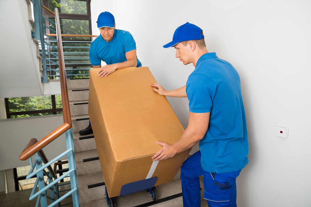 Professional Moving Services in Amherst